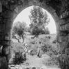Young Shepherd in Paelstine