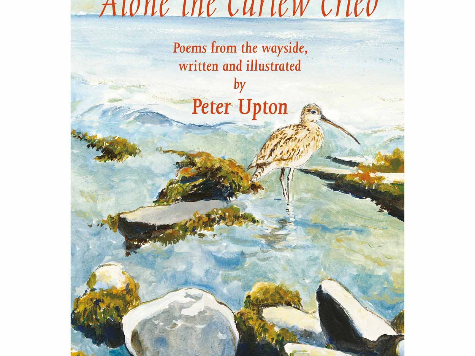Alone the Curlew Cried