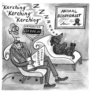 This Book is NOT About Dogs - Image 2